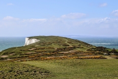 (TD005) - Tennyson Down