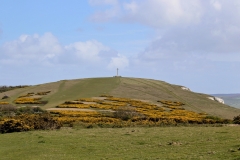 (TD008) - Tennyson Down