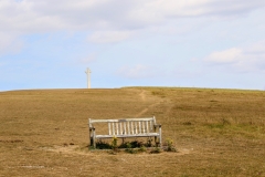 (TD019) - Tennyson Down