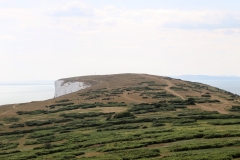 (TD020) - Tennyson Down