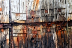 (TnS 007) - Textures and Surfaces