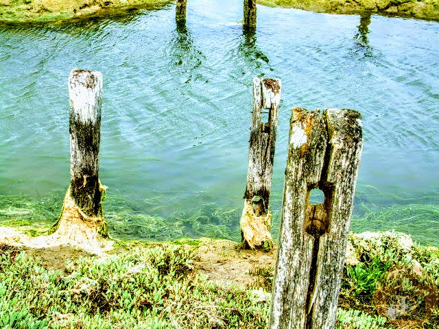 Newtown Creek, Isle of Wight