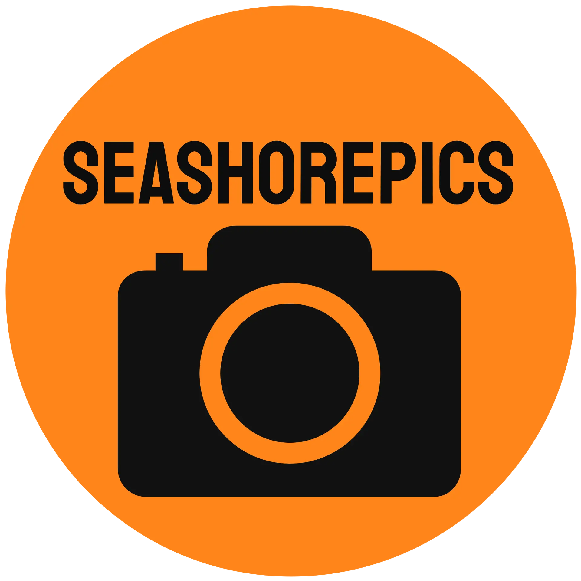 Seashorepics