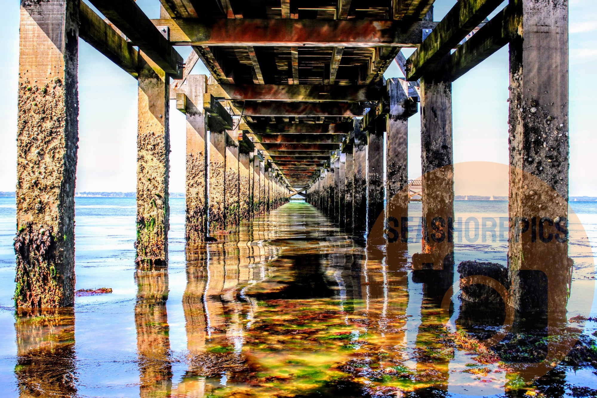Under the Pier